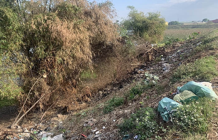 Đốt rác trên triền đê sông Thái Bình đoạn qua xã Tiền Tiến